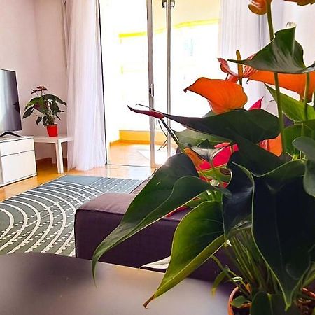 Apartamento Radazul Sea View 外观 照片